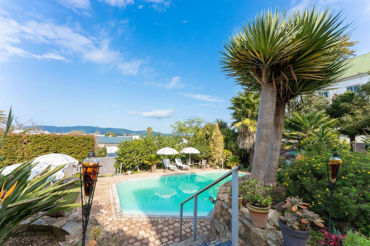 Aestas Bed And Breakfast Knysna Buitenkant foto